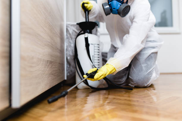 Best Mosquito Control Services  in Rockwood, MI