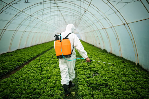 Best Affordable Pest Control Services  in Rockwood, MI