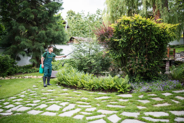 Best Pest Control Near Me in Rockwood, MI