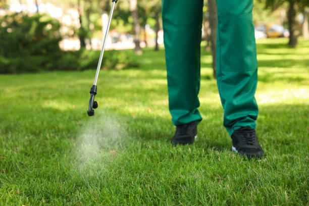 Pest Control for Restaurants in Rockwood, MI