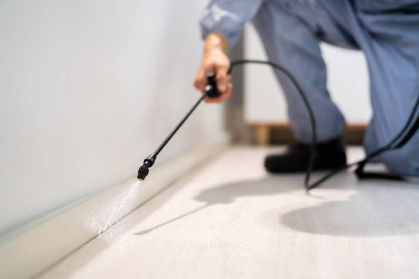Best Pest Control for Businesses  in Rockwood, MI