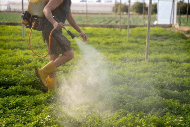 Pest Prevention Services in Rockwood, MI