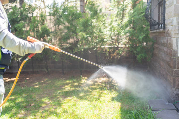 Best Insect Control  in Rockwood, MI