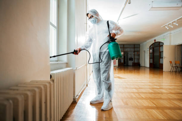 Best Best Pest Control Near Me  in Rockwood, MI