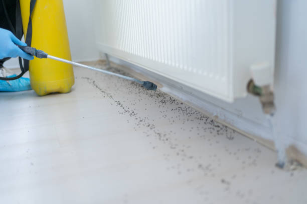 Best Best Pest Control Companies  in Rockwood, MI