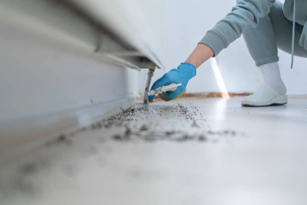  Rockwood, MI Pest Control Pros