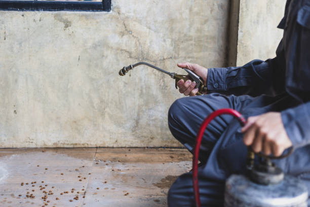 Best Pest Control for Restaurants  in Rockwood, MI